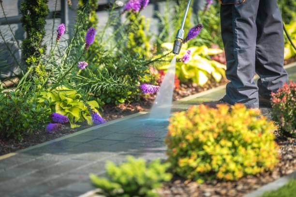 Best Boat and Dock Cleaning  in Wausau, WI